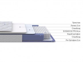 PROxSON Матрас Active Duo S/F (Ткань Трикотаж Эко) 160x200 в Заводоуковске - zavodoukovsk.mebel24.online | фото 2