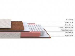 PROxSON Матрас Base M Roll (Ткань Синтетический жаккард) 160x200 в Заводоуковске - zavodoukovsk.mebel24.online | фото 2