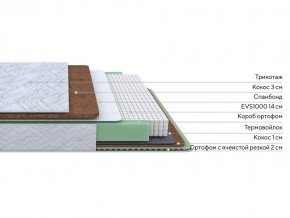 PROxSON Матрас Green Duo M/F (Tricotage Dream) 120x190 в Заводоуковске - zavodoukovsk.mebel24.online | фото 2