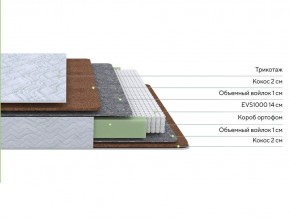 PROxSON Матрас Green F (Tricotage Dream) 80x210 в Заводоуковске - zavodoukovsk.mebel24.online | фото 6