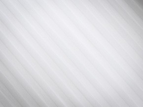 PROxSON Подушка Terra Ergo (Страйп сатин) 40x60 в Заводоуковске - zavodoukovsk.mebel24.online | фото 8