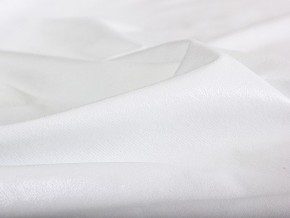 PROxSON Защитный чехол Aqua Save Plush S (Ткань влагостойкая Coral Fleece) 80x200 в Заводоуковске - zavodoukovsk.mebel24.online | фото 5