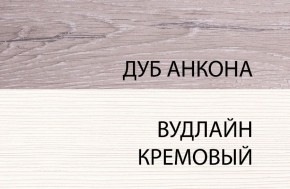 Шкаф 1DW, OLIVIA, цвет вудлайн крем/дуб анкона в Заводоуковске - zavodoukovsk.mebel24.online | фото 3