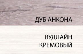 Шкаф 1DZ, OLIVIA, цвет вудлайн крем/дуб анкона в Заводоуковске - zavodoukovsk.mebel24.online | фото 3