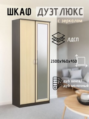 Шкаф 2-х створчатый Дуэт Люкс с зеркалом в Заводоуковске - zavodoukovsk.mebel24.online | фото