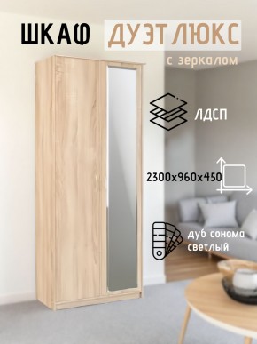 Шкаф 2-х створчатый Дуэт Люкс с зеркалом в Заводоуковске - zavodoukovsk.mebel24.online | фото 7