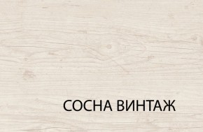 Шкаф 2DG2S, MAGELLAN, цвет Сосна винтаж в Заводоуковске - zavodoukovsk.mebel24.online | фото 5
