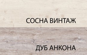 Шкаф 2DG2S, MONAKO, цвет Сосна винтаж/дуб анкона в Заводоуковске - zavodoukovsk.mebel24.online | фото 1
