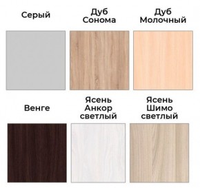 Шкаф-купе ХИТ 22-18-888 (620) в Заводоуковске - zavodoukovsk.mebel24.online | фото 3