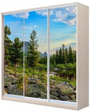Шкаф-купе ХИТ 22-20-777 ПРИРОДА в Заводоуковске - zavodoukovsk.mebel24.online | фото
