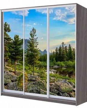 Шкаф-купе ХИТ 22-4-20/2-777 ПРИРОДА в Заводоуковске - zavodoukovsk.mebel24.online | фото