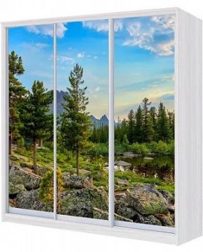 Шкаф-купе ХИТ 22-4-20-777 ПРИРОДА в Заводоуковске - zavodoukovsk.mebel24.online | фото