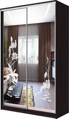 Шкаф-купе ХИТ 23-12-66 ЦАПЛИ в Заводоуковске - zavodoukovsk.mebel24.online | фото