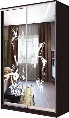 Шкаф-купе ХИТ 23-4-12/2-66 КОЛИБРИ в Заводоуковске - zavodoukovsk.mebel24.online | фото