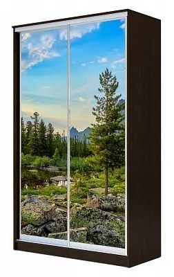 Шкаф-купе ХИТ 23-4-12/2-77 ПРИРОДА в Заводоуковске - zavodoukovsk.mebel24.online | фото