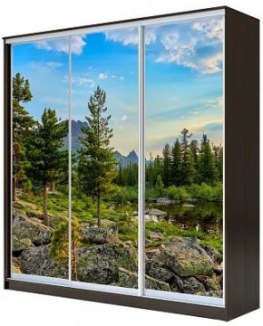 Шкаф-купе ХИТ 23-4-18-777 ПРИРОДА в Заводоуковске - zavodoukovsk.mebel24.online | фото