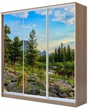 Шкаф-купе ХИТ 24-20/2-777 ПРИРОДА в Заводоуковске - zavodoukovsk.mebel24.online | фото