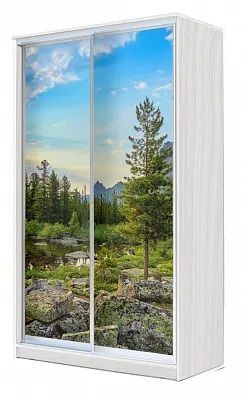 Шкаф-купе ХИТ 24-4-15-77 ПРИРОДА в Заводоуковске - zavodoukovsk.mebel24.online | фото