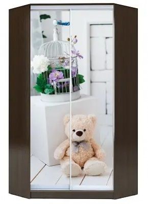 Шкаф-купе ХИТ-У-L-23-64-77 МИШКА В ИНТЕРЬЕРЕ в Заводоуковске - zavodoukovsk.mebel24.online | фото