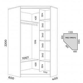 Шкаф-купе ХИТ-У-R-22-64-66 в Заводоуковске - zavodoukovsk.mebel24.online | фото 3