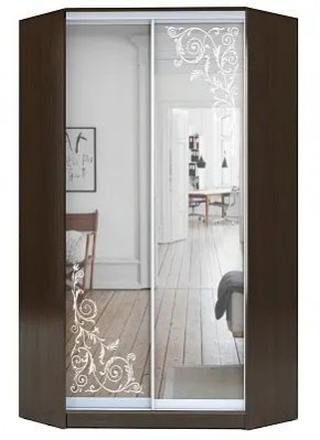Шкаф-купе ХИТ-У-R-23-64-66 ОРНАМЕНТ в Заводоуковске - zavodoukovsk.mebel24.online | фото