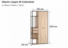 Шкаф платяной Берген-5 в Заводоуковске - zavodoukovsk.mebel24.online | фото 7