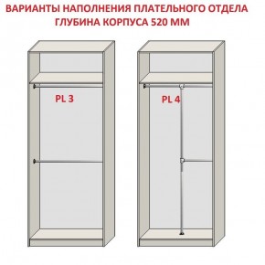 Шкаф распашной серия «ЗЕВС» (PL3/С1/PL2) в Заводоуковске - zavodoukovsk.mebel24.online | фото 10