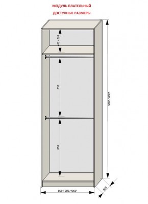 Шкаф распашной серия «ЗЕВС» (PL3/С1/PL2) в Заводоуковске - zavodoukovsk.mebel24.online | фото 12