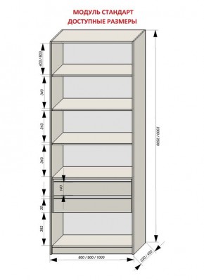 Шкаф распашной серия «ЗЕВС» (PL3/С1/PL2) в Заводоуковске - zavodoukovsk.mebel24.online | фото 13