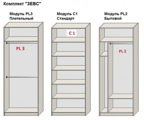 Шкаф распашной серия «ЗЕВС» (PL3/С1/PL2) в Заводоуковске - zavodoukovsk.mebel24.online | фото 2