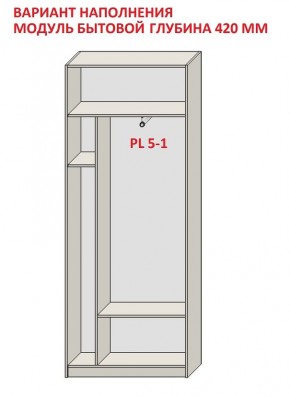 Шкаф распашной серия «ЗЕВС» (PL3/С1/PL2) в Заводоуковске - zavodoukovsk.mebel24.online | фото 4