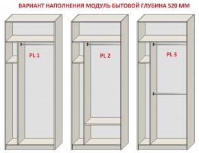 Шкаф распашной серия «ЗЕВС» (PL3/С1/PL2) в Заводоуковске - zavodoukovsk.mebel24.online | фото 5