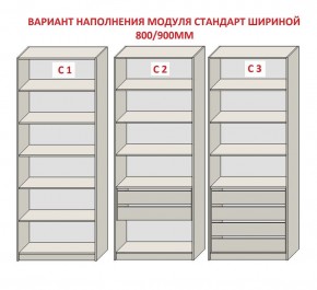 Шкаф распашной серия «ЗЕВС» (PL3/С1/PL2) в Заводоуковске - zavodoukovsk.mebel24.online | фото 6