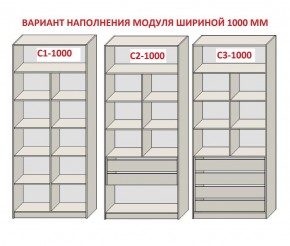 Шкаф распашной серия «ЗЕВС» (PL3/С1/PL2) в Заводоуковске - zavodoukovsk.mebel24.online | фото 7