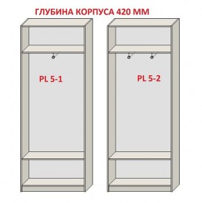 Шкаф распашной серия «ЗЕВС» (PL3/С1/PL2) в Заводоуковске - zavodoukovsk.mebel24.online | фото 8