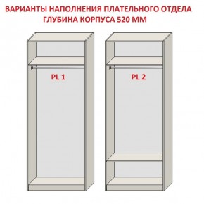 Шкаф распашной серия «ЗЕВС» (PL3/С1/PL2) в Заводоуковске - zavodoukovsk.mebel24.online | фото 9