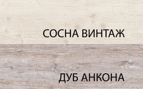 Шкаф с витриной 1V1D1S, MONAKO, цвет Сосна винтаж/дуб анкона в Заводоуковске - zavodoukovsk.mebel24.online | фото 3