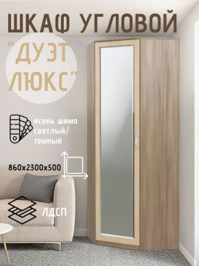 Шкаф угловой Дуэт Люкс с зеркалом в Заводоуковске - zavodoukovsk.mebel24.online | фото 3