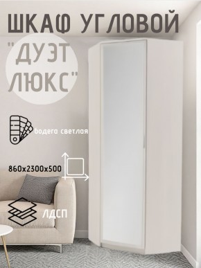 Шкаф угловой Дуэт Люкс с зеркалом в Заводоуковске - zavodoukovsk.mebel24.online | фото 6