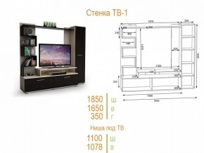 Стенка для гостиной ТВ-1 в Заводоуковске - zavodoukovsk.mebel24.online | фото 2