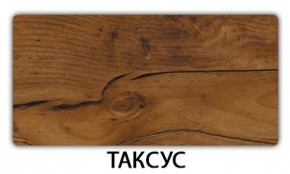 Стол-бабочка Бриз пластик Таксус в Заводоуковске - zavodoukovsk.mebel24.online | фото 20