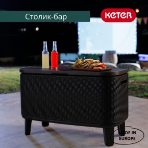 Стол Беви Бар (Bevy Bar Large Cool Bar), коричневый в Заводоуковске - zavodoukovsk.mebel24.online | фото 4