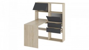 Стол компьютерный Тип 7 в Заводоуковске - zavodoukovsk.mebel24.online | фото 2
