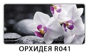 Стол Паук с фотопечатью Орхидея R041 в Заводоуковске - zavodoukovsk.mebel24.online | фото 5
