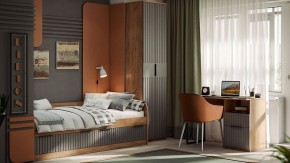 Стол письменный Хилтон Тип 1 в Заводоуковске - zavodoukovsk.mebel24.online | фото 6