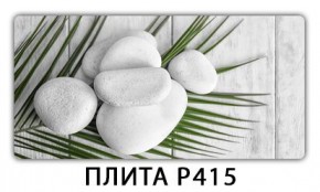 Стол раздвижной-бабочка Трилогия с фотопечатью Доска D111 в Заводоуковске - zavodoukovsk.mebel24.online | фото 6