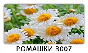 Стол раздвижной Трилогия с фотопечатью Цветы R044 в Заводоуковске - zavodoukovsk.mebel24.online | фото 15