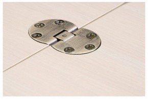 Стол-трансформер Престиж в Заводоуковске - zavodoukovsk.mebel24.online | фото 10