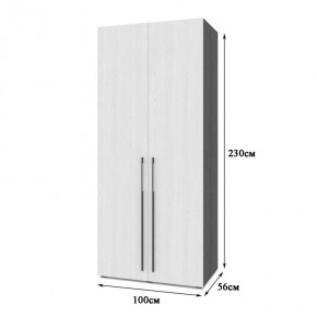 СТОУН С22 Шкаф 2-х створчатый с ящиками (камень темный/ирландский дуб) в Заводоуковске - zavodoukovsk.mebel24.online | фото 2