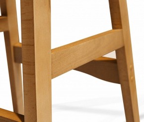 Стул обеденный SHT-ST29/S65-1 в Заводоуковске - zavodoukovsk.mebel24.online | фото 5